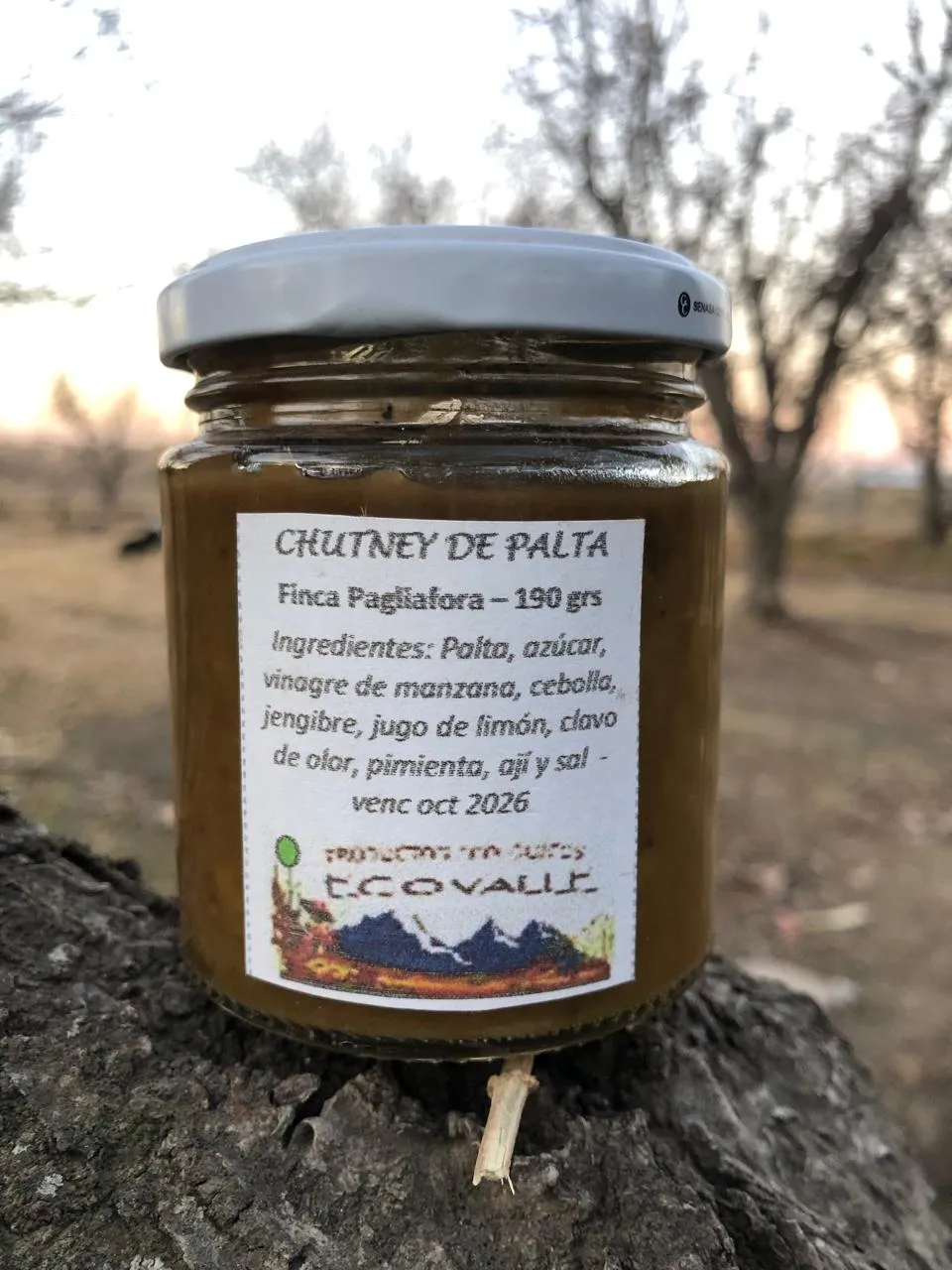 Chutney de palta x 190 grs - Pagliafora