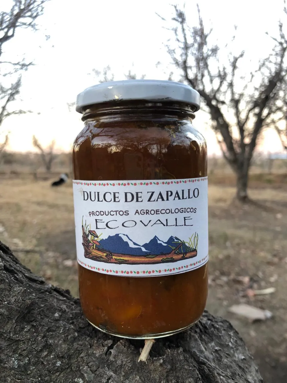 Dulce de zapallo x 450 grs - Finca Pagliafora