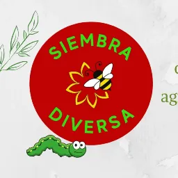 Cerveza artesanal roja x litro - Chuncana