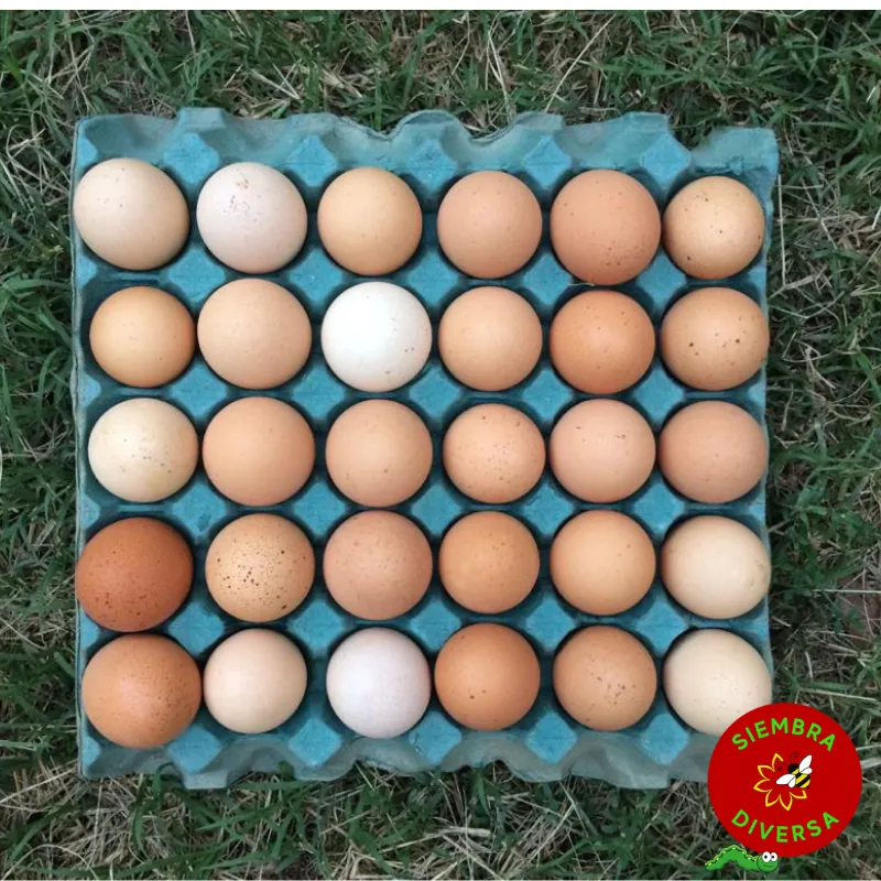 Huevos caseros x maple - Valle de Uco