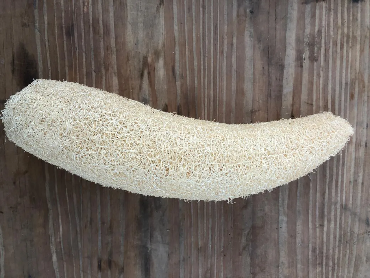 Esponja vegetal mediana - Vezna Degregorio