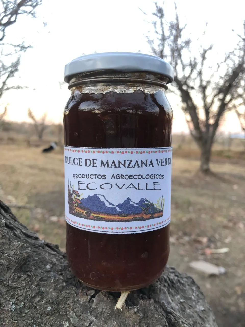 Dulce de manzana x 450 grs - Familia Pagliafora