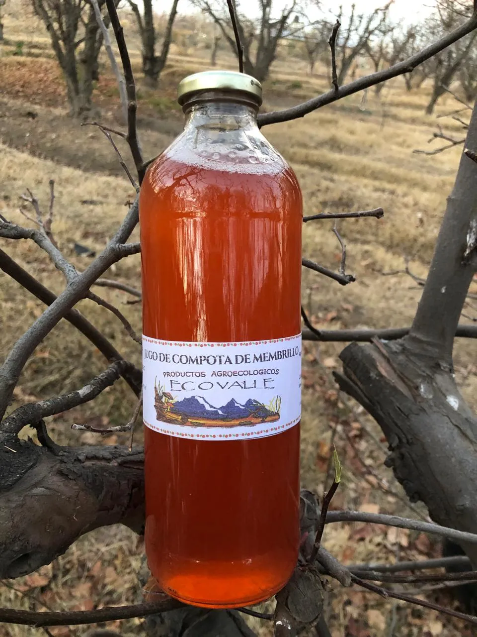 Jugo de compota de membrillo (sin azúcar) x 950 cc - Finca Pagliafora