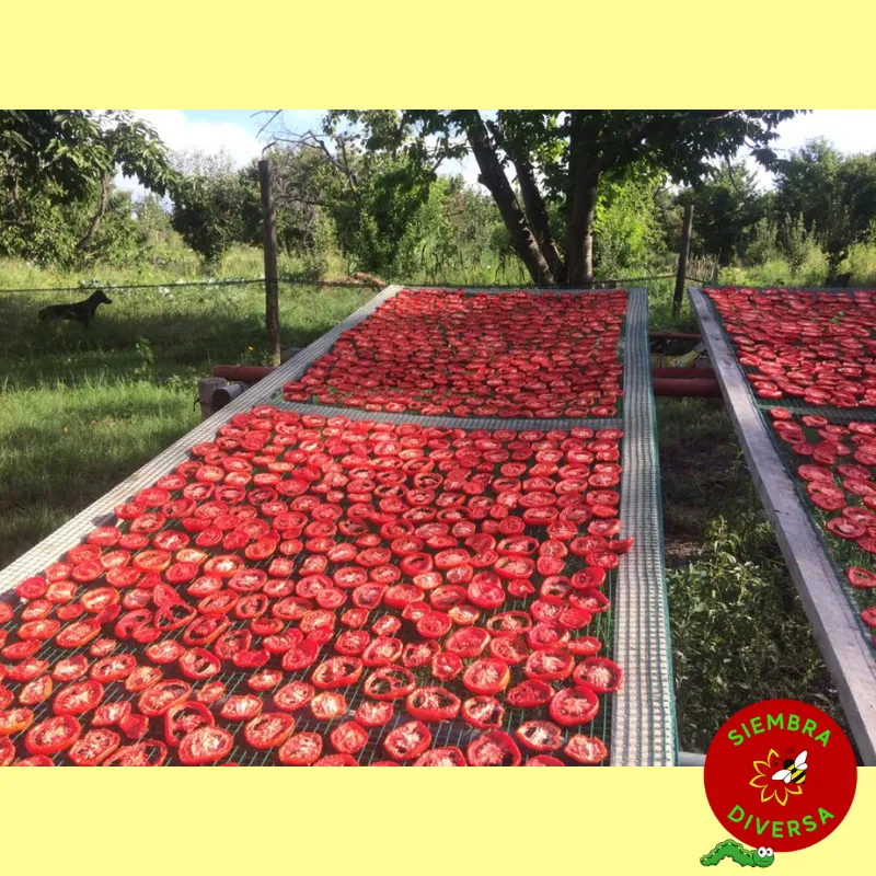 Tomate disecado x 100 grs - Finca Pagliafora