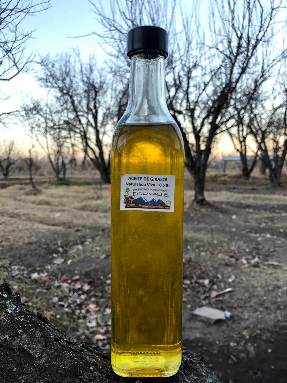 Aceite de girasol 500 c.c. - Naturaleza Viva