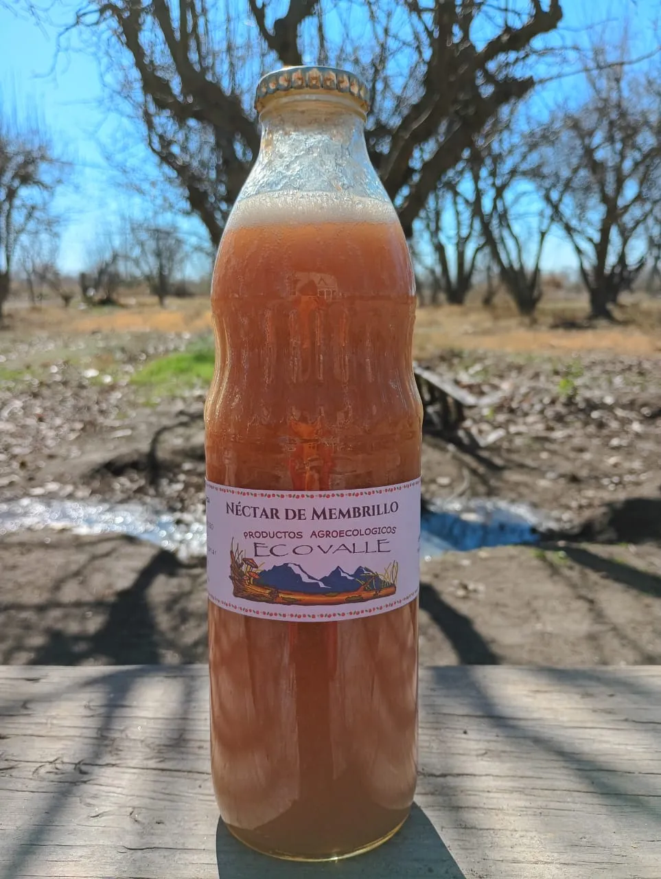 Néctar de membrillo x litro - Finca Pagliafora