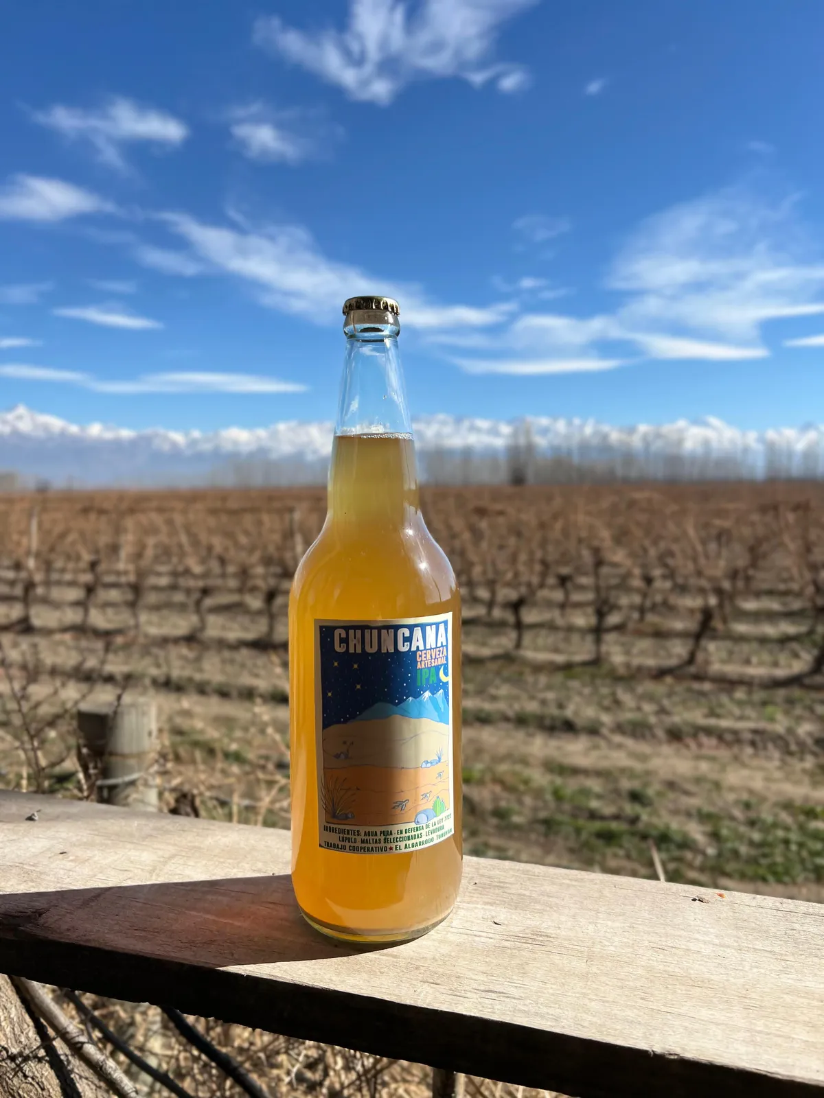 Cerveza artesanal ipa x litro - Chuncana