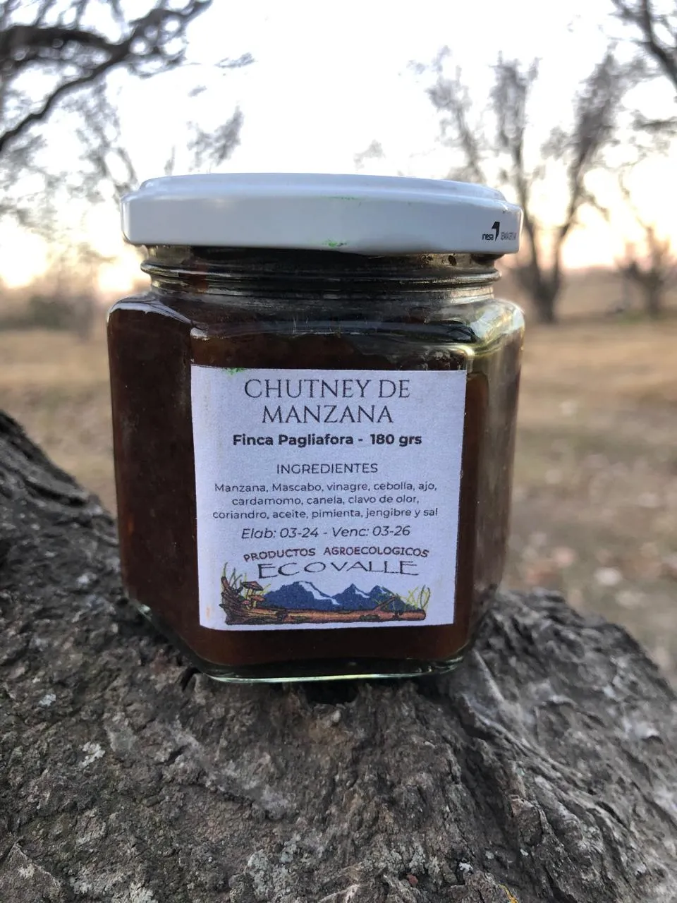 Chutney de manzana x 450 grs - Finca Pagliafora
