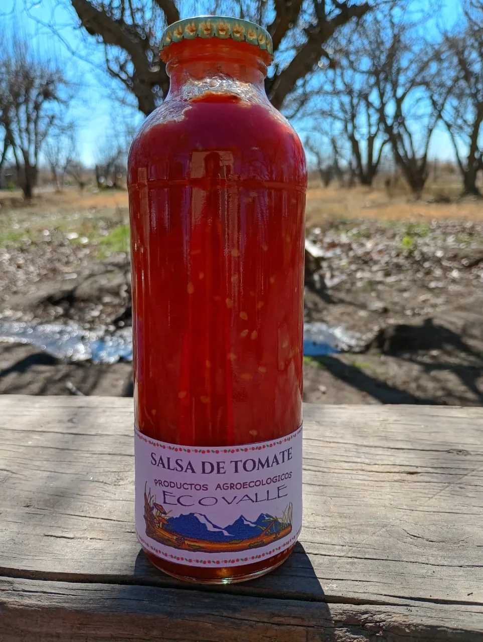 Salsa de tomate x 500 CC - Pagliafora