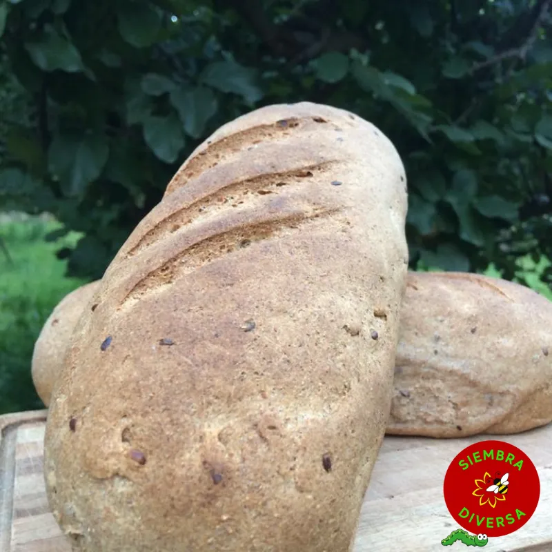 Pan Integral x 550 grs - Finca Pagliafora