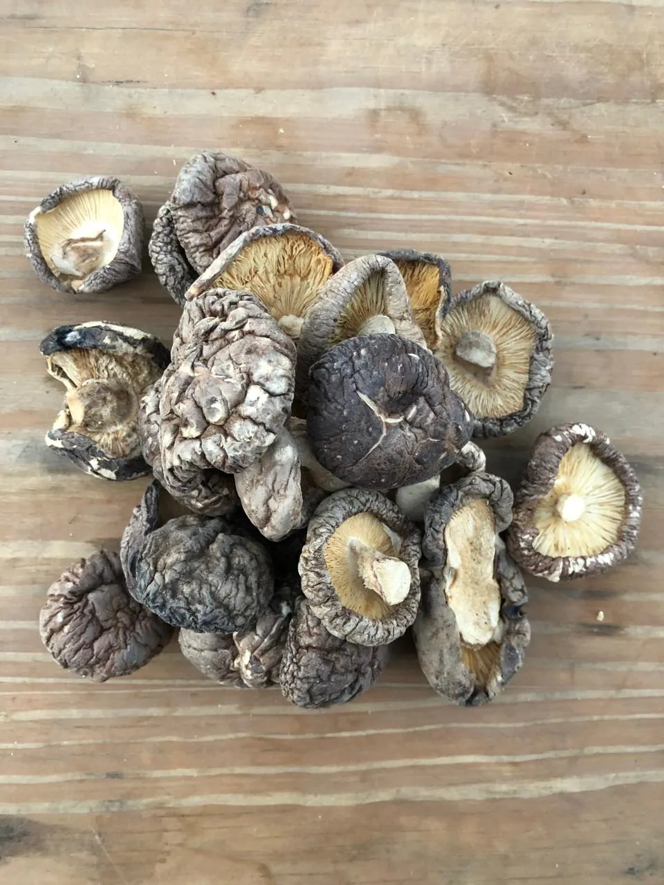 Hongos Shitake secos x 50 grs- Espora Hongos