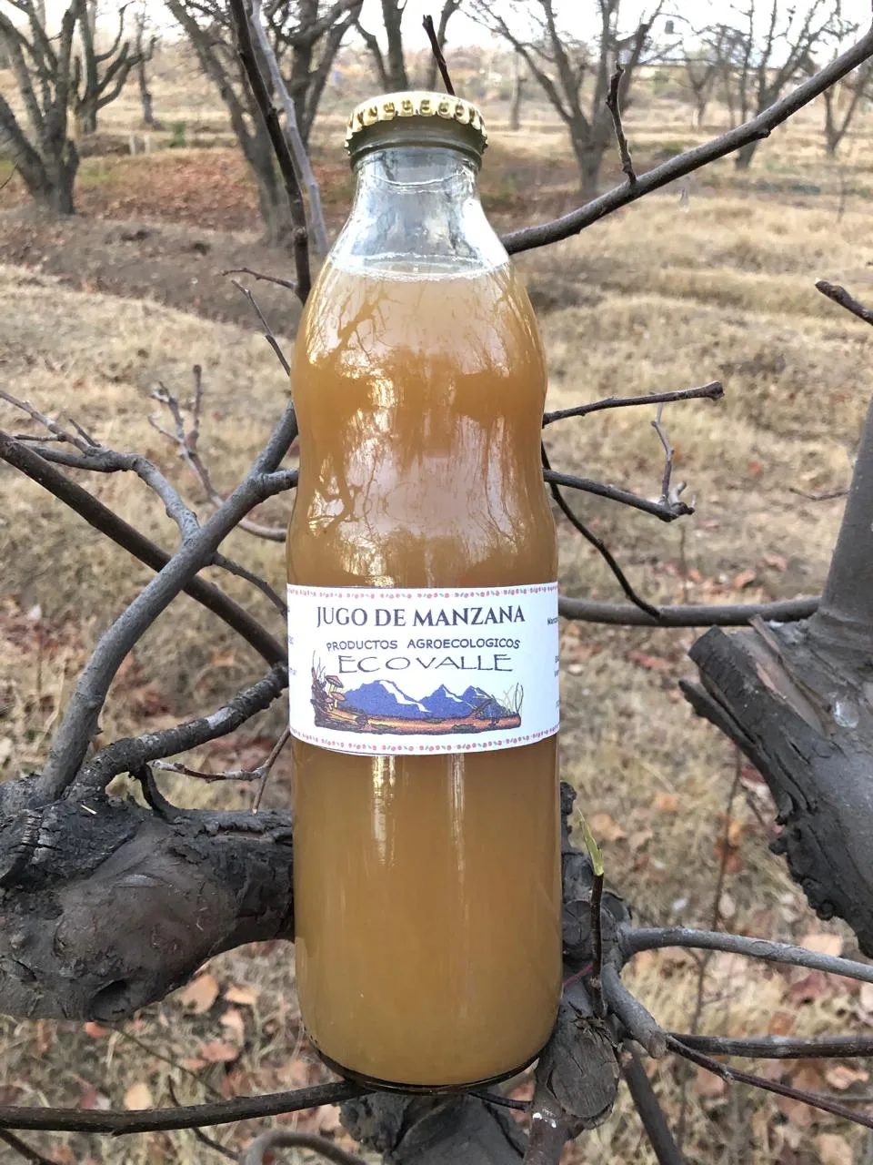 Jugo de manzana x litro - Pagliafora