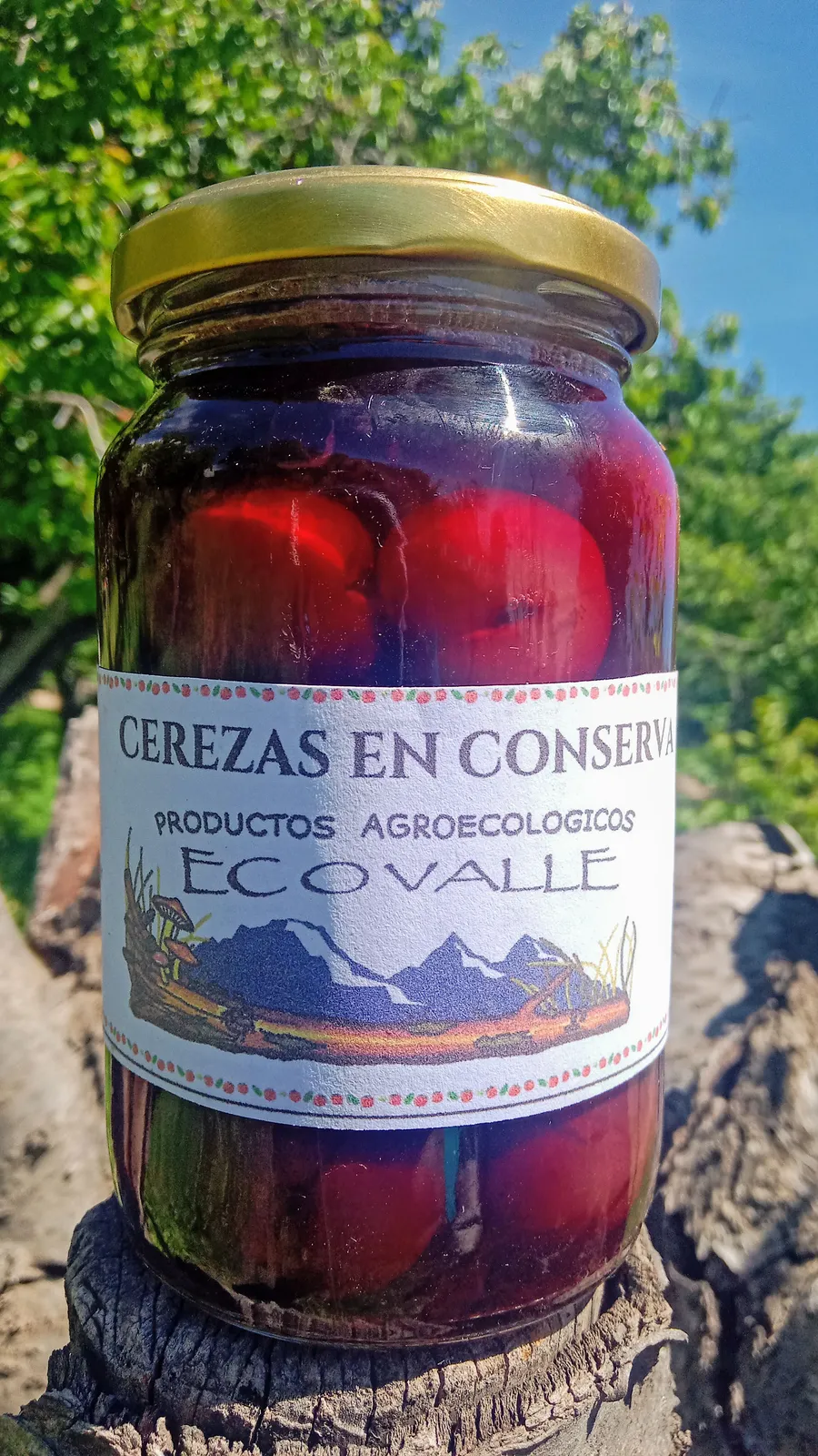 Cereza en conserva x 375 grs - Mate Cosido