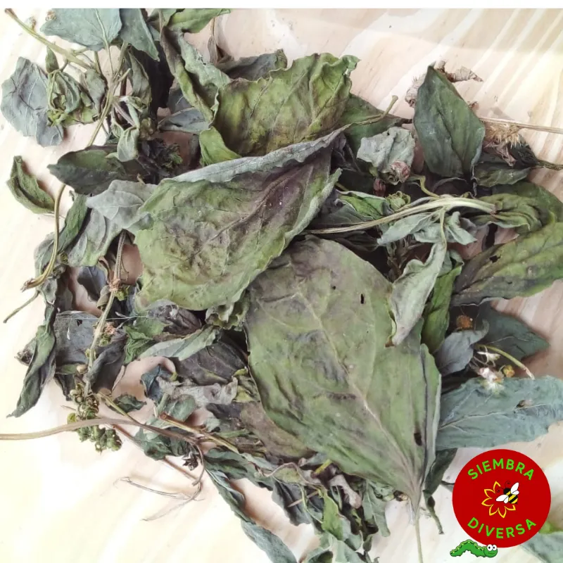Albahaca seca x 25 grs - Finca Pagliafora