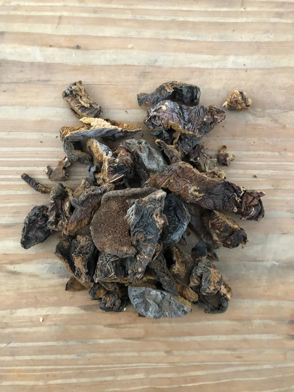 Hongos de pino secos x 50 grs- Espora Hongos