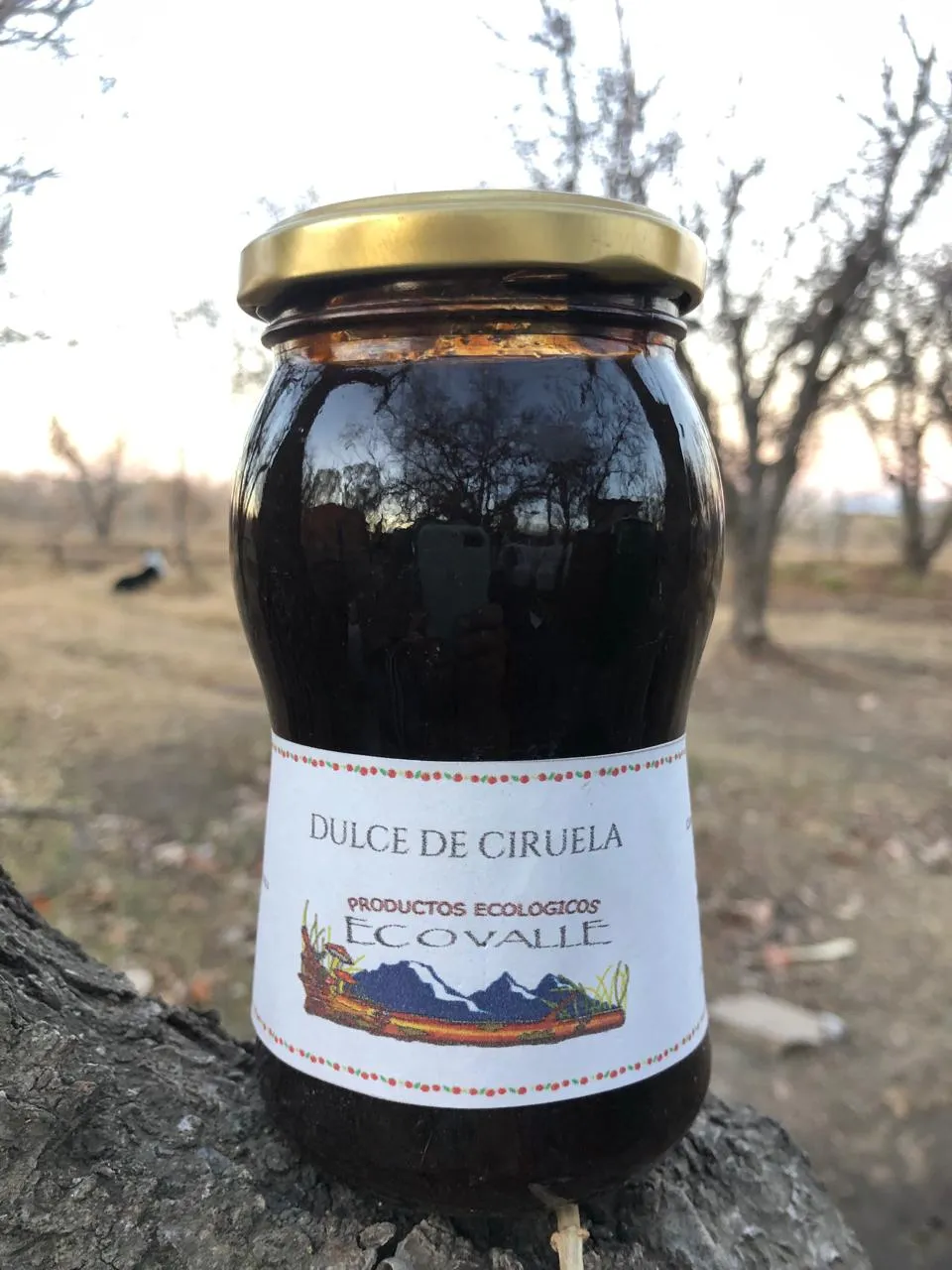 Dulce de ciruela x 450 grs - Pagliafora