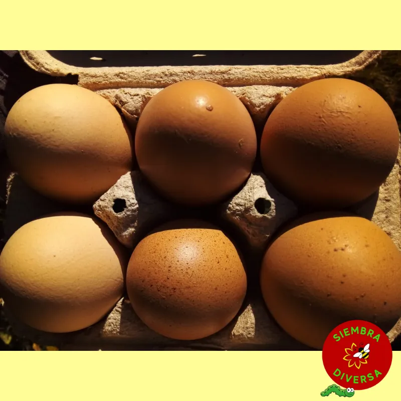 Huevos caseros x media docena - Valle de Uco